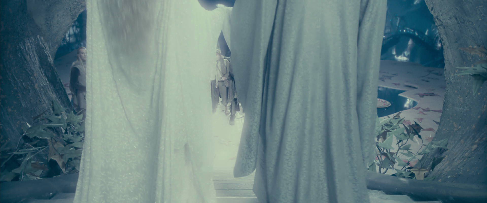 The Lord of the Rings: The Fellowship of the Ring (2001) screencap 18258