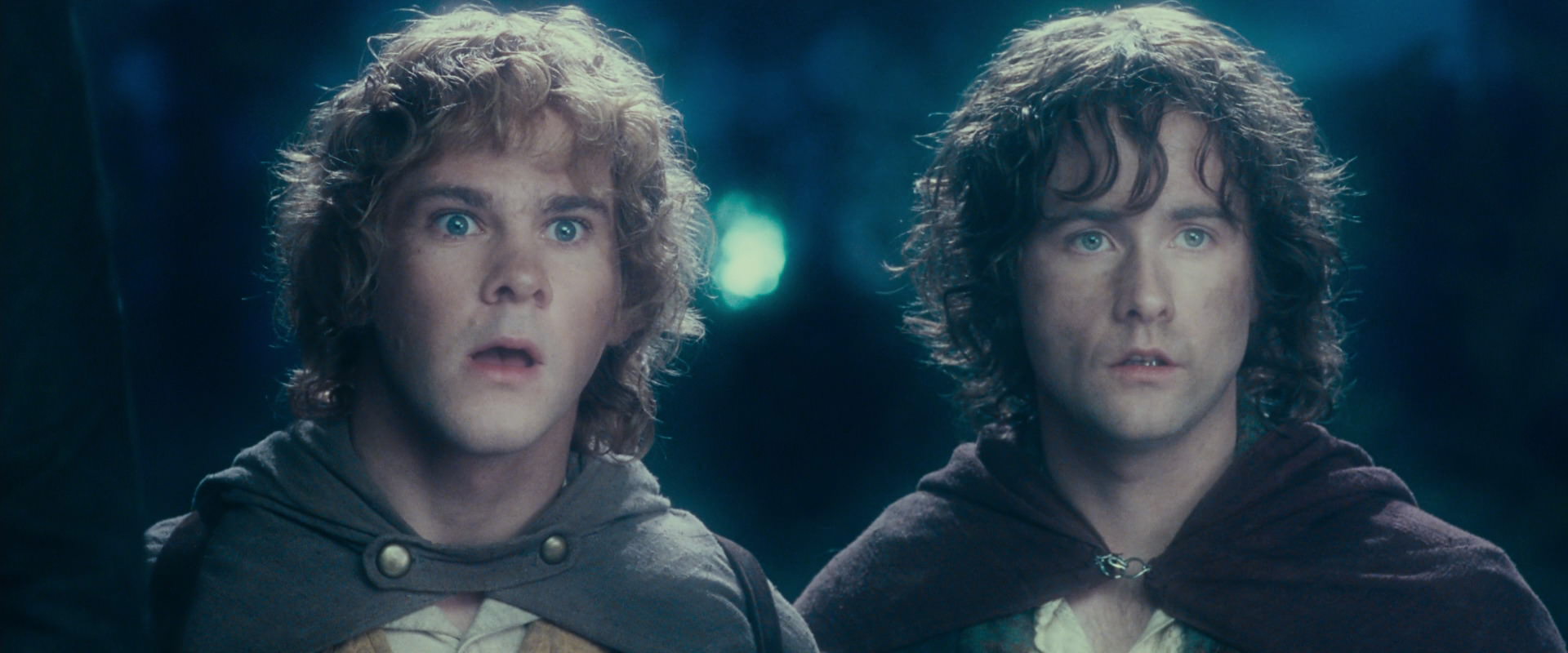 The Lord of the Rings: The Fellowship of the Ring (2001) HD screenshot 18269