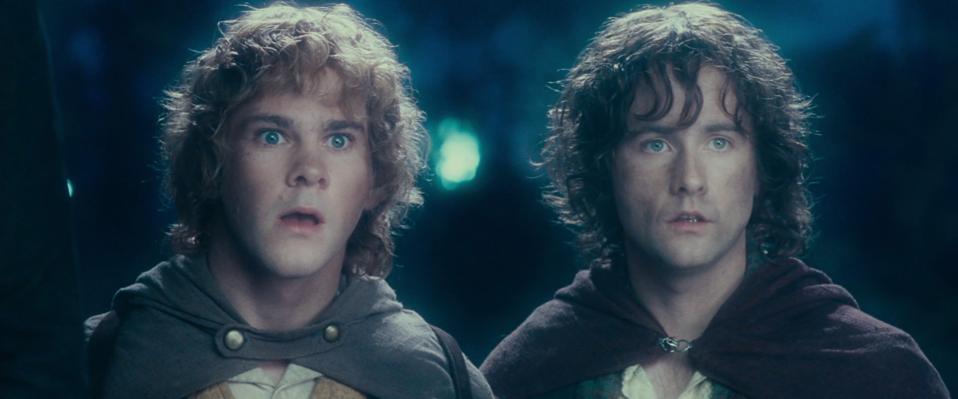The Lord of the Rings: The Fellowship of the Ring (2001) screencap 18270