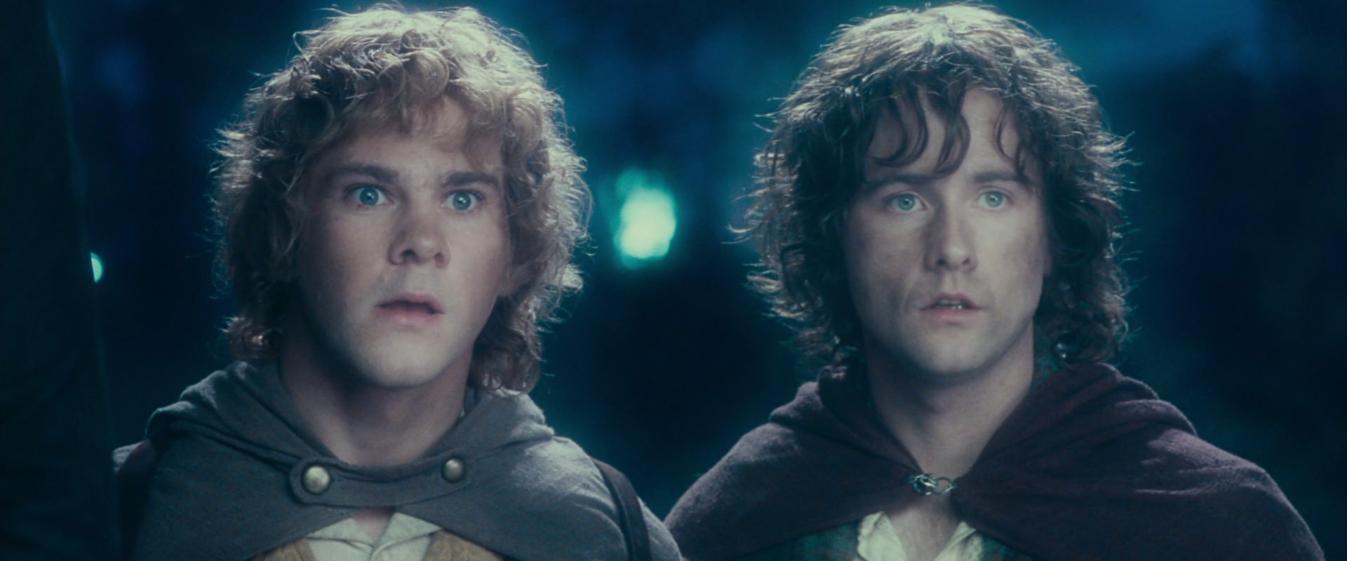 The Lord of the Rings: The Fellowship of the Ring (2001) movie still 18271