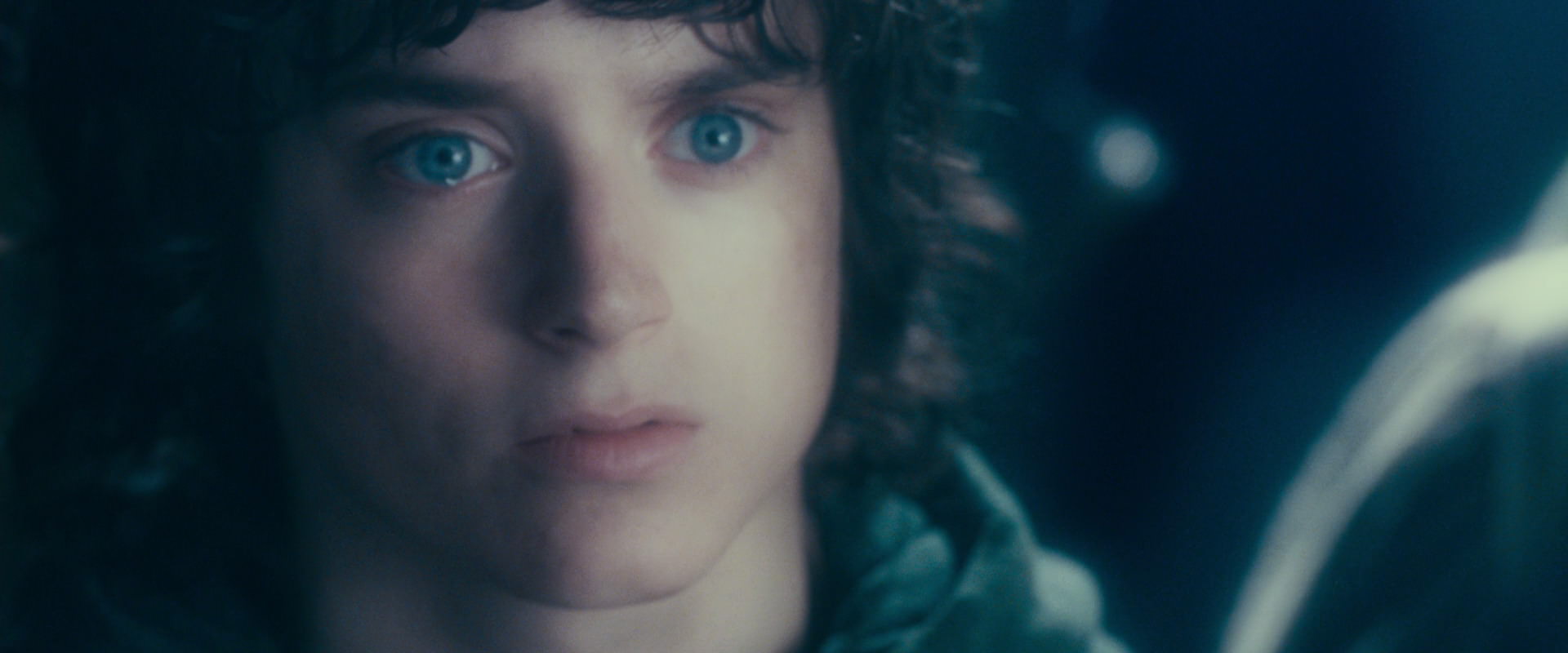 The Lord of the Rings: The Fellowship of the Ring (2001) screencap 18294