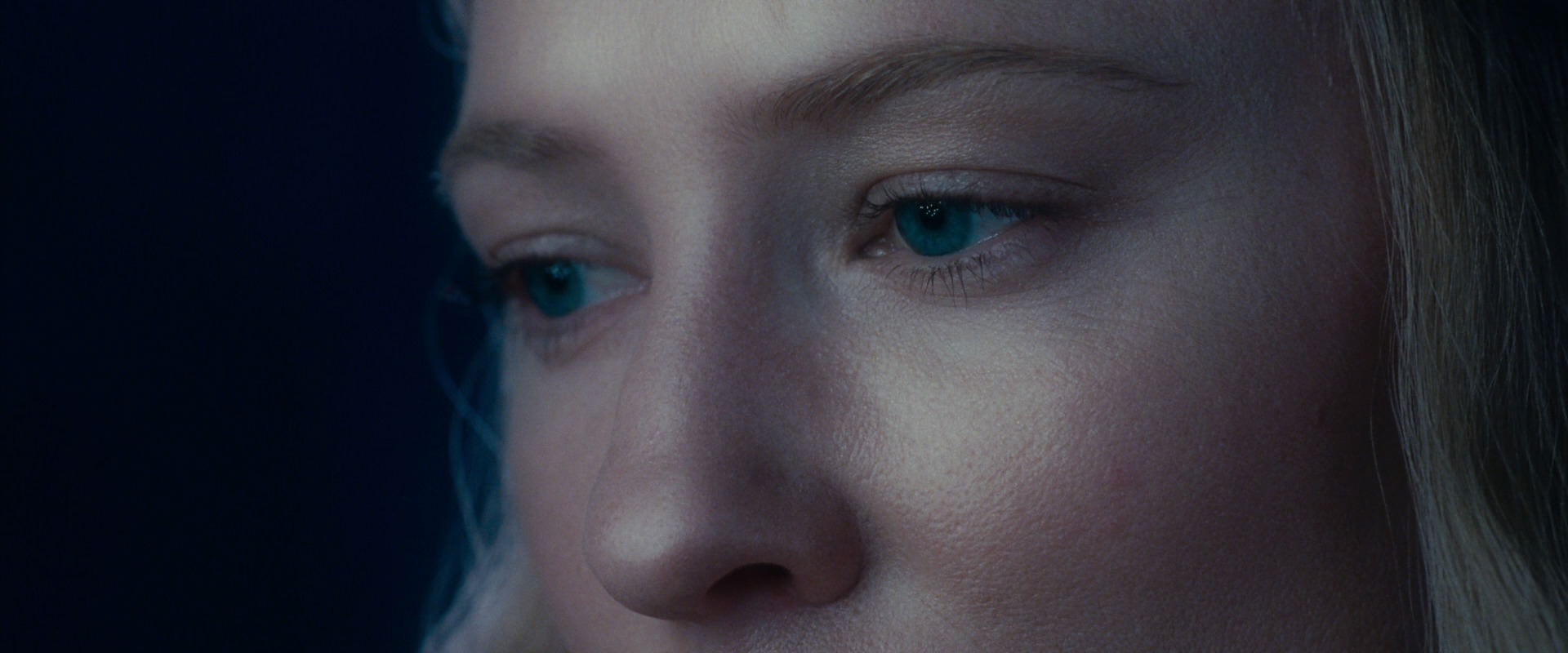 The Lord of the Rings: The Fellowship of the Ring (2001) screencap 18339