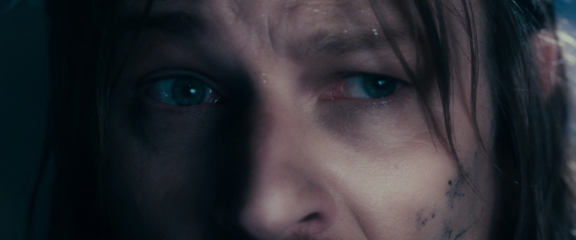 The Lord of the Rings: The Fellowship of the Ring (2001) screencap 18489