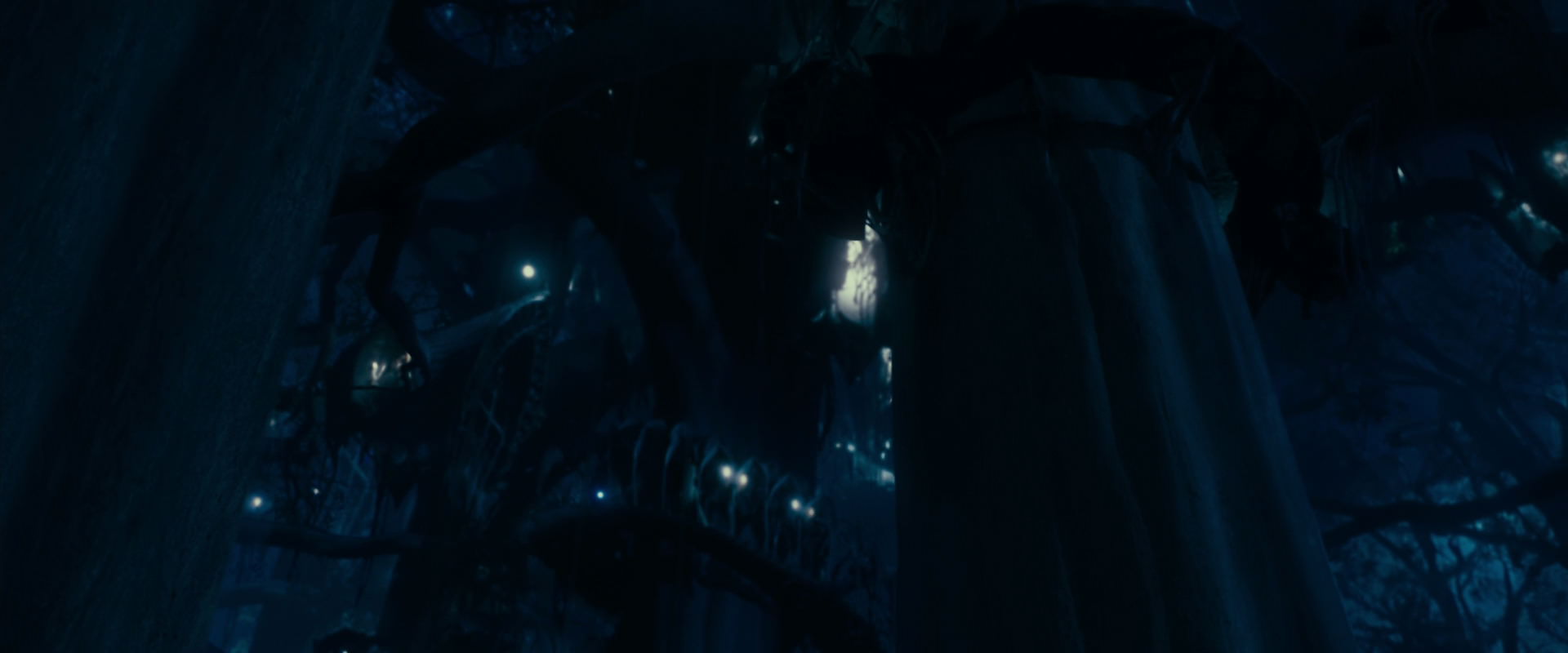 The Lord of the Rings: The Fellowship of the Ring (2001) screencap 18603