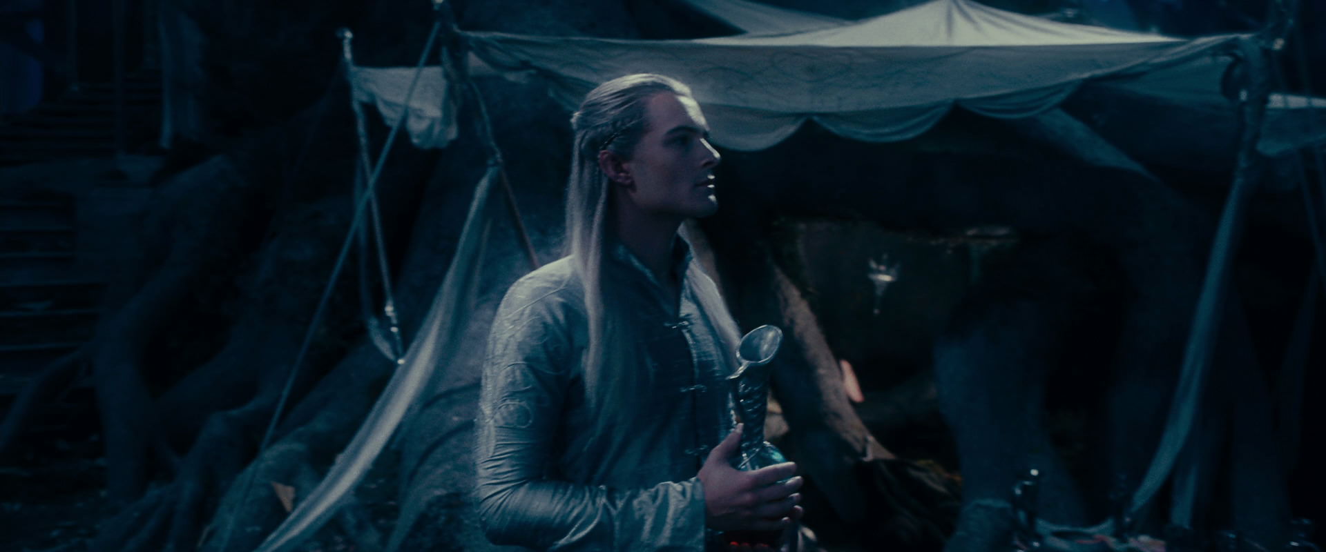 The Lord of the Rings: The Fellowship of the Ring (2001) screencap 18624