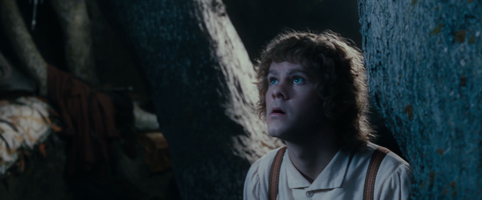 The Lord of the Rings: The Fellowship of the Ring (2001) screencap 18645