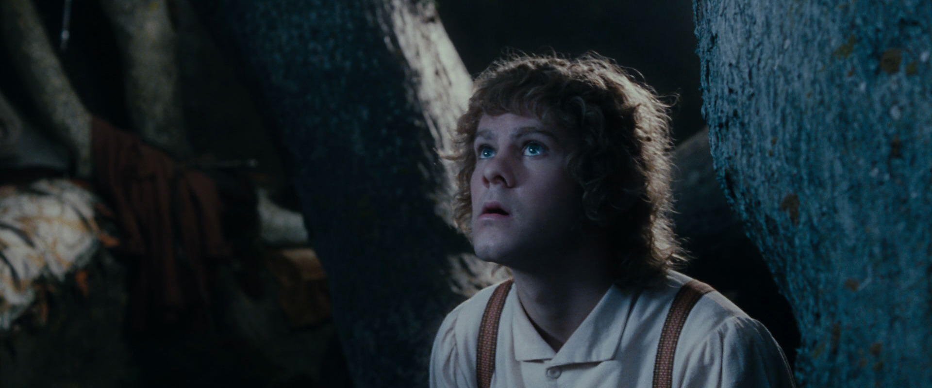 The Lord of the Rings: The Fellowship of the Ring (2001) movie still 18646