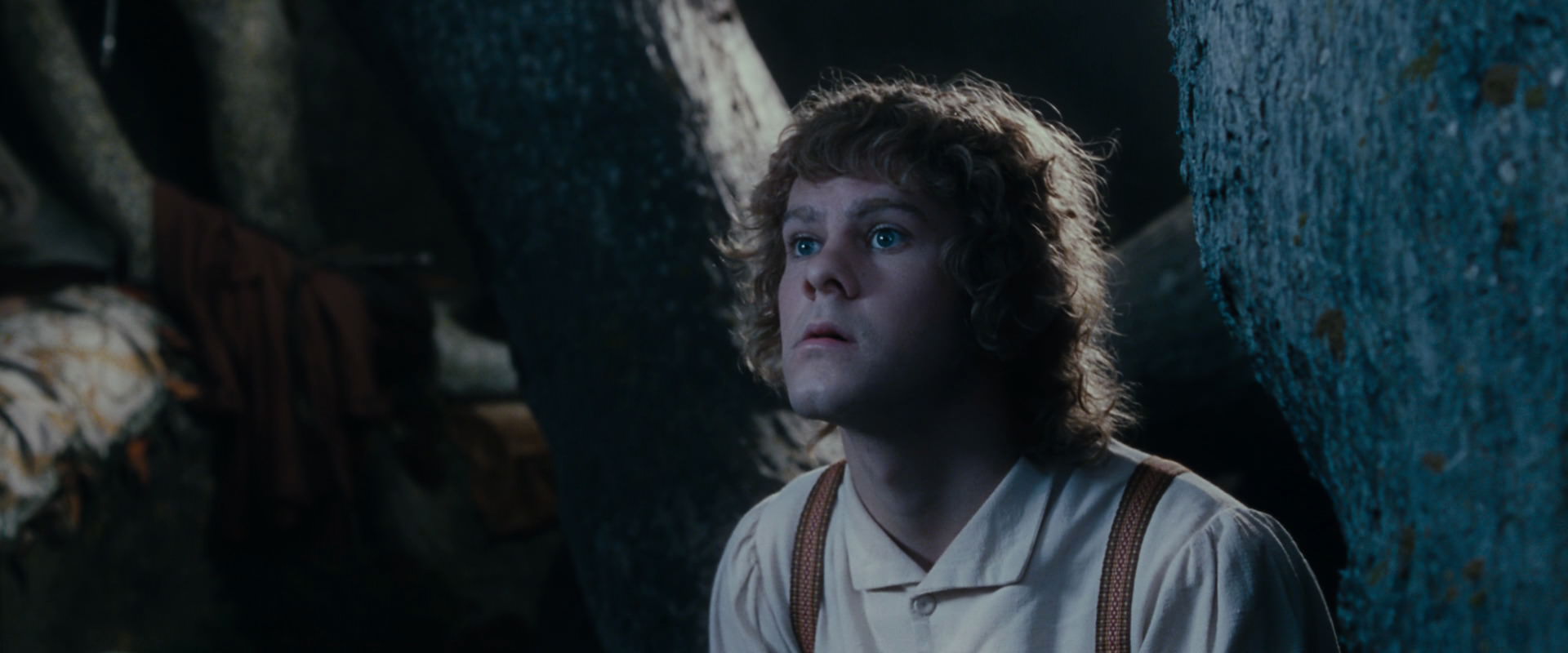 The Lord of the Rings: The Fellowship of the Ring (2001) screencap 18648