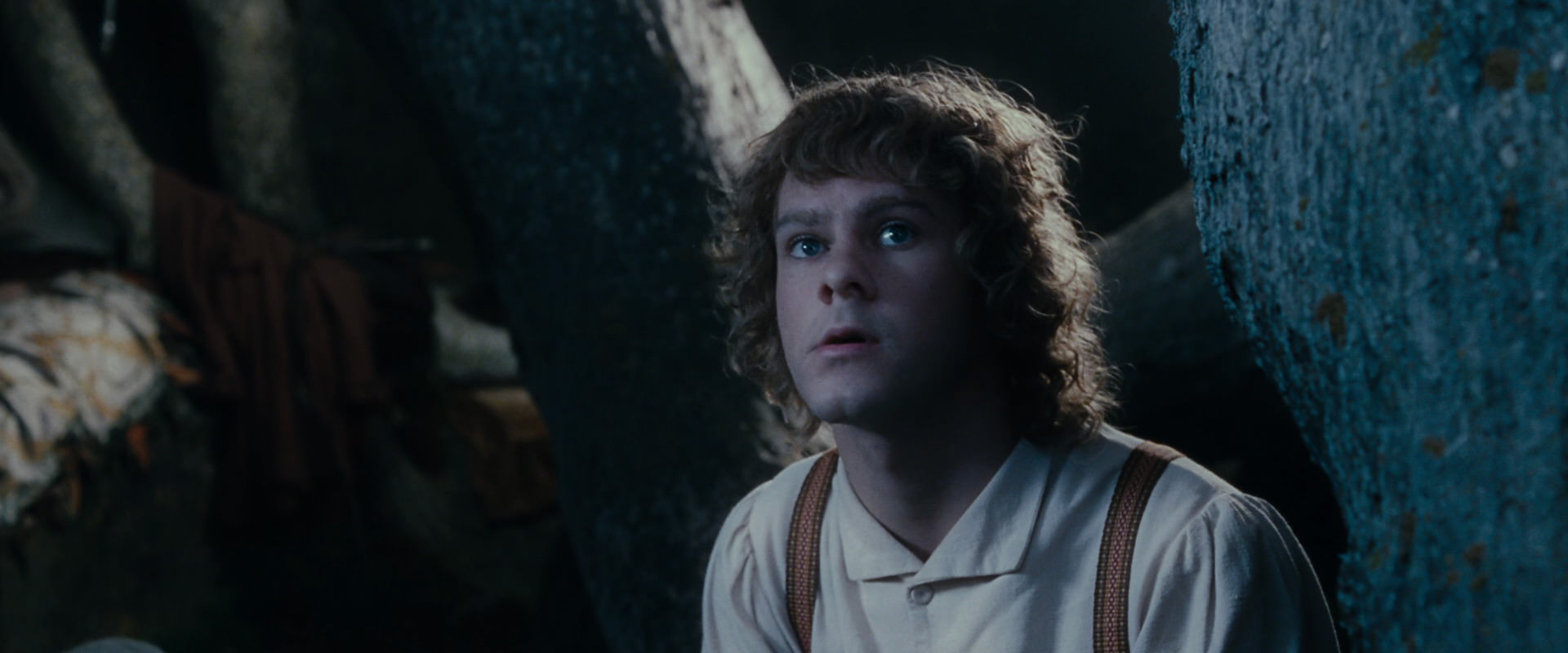 The Lord of the Rings: The Fellowship of the Ring (2001) HD screenshot 18650