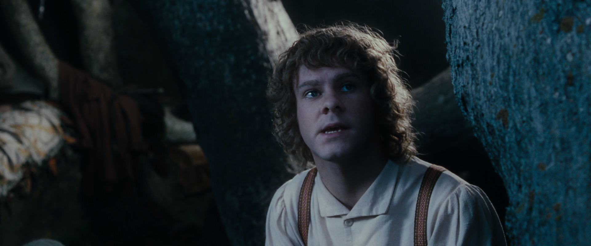 The Lord of the Rings: The Fellowship of the Ring (2001) screencap 18651