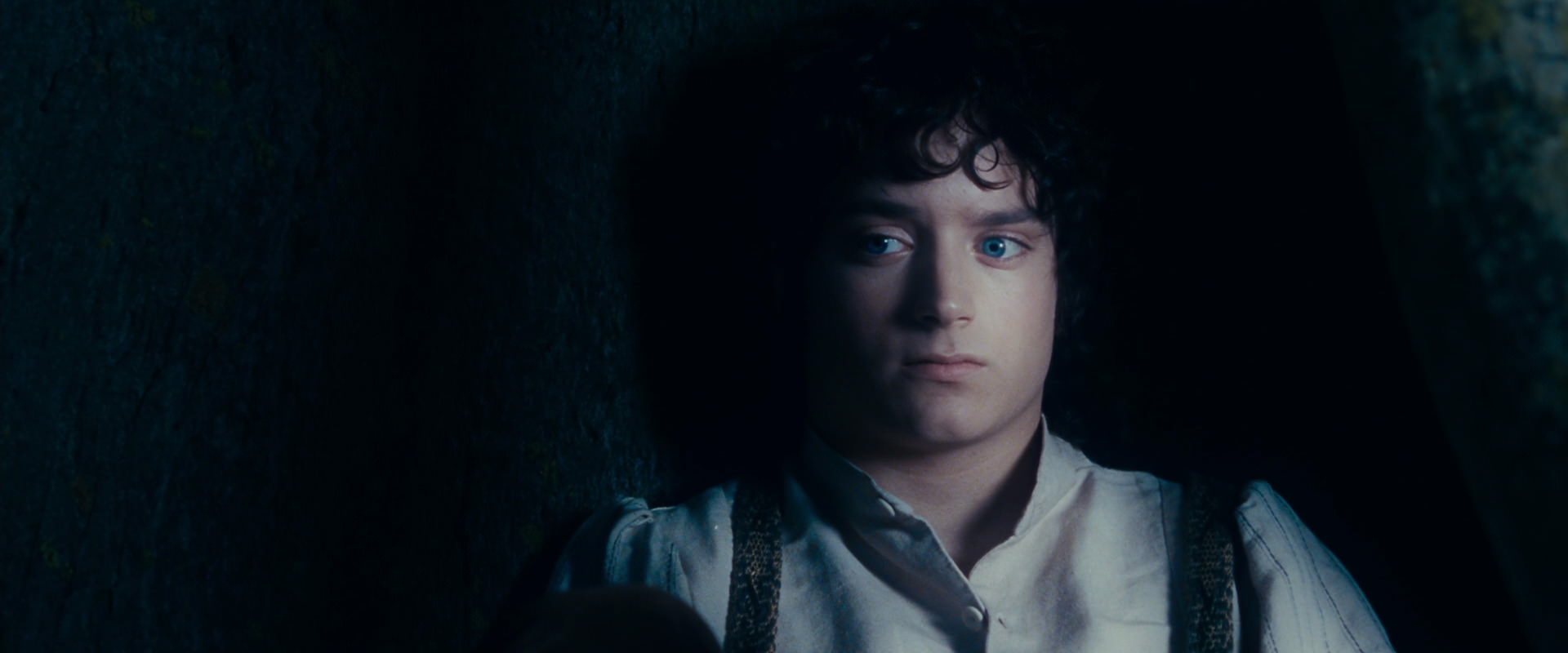 The Lord of the Rings: The Fellowship of the Ring (2001) screencap 18669
