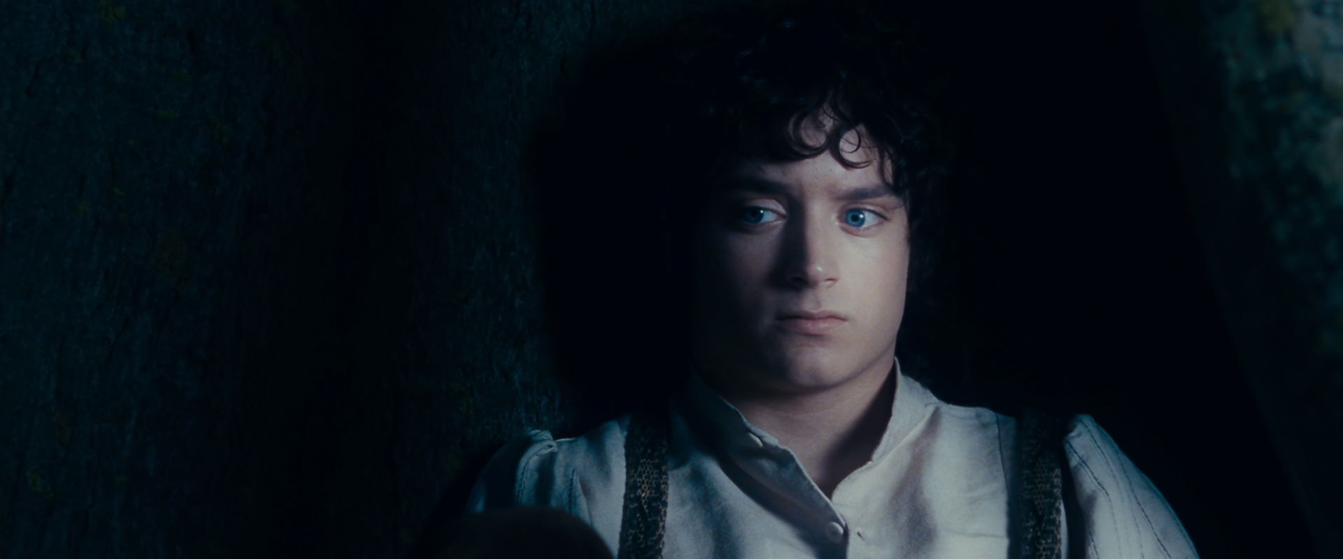 The Lord of the Rings: The Fellowship of the Ring (2001) screencap 18672