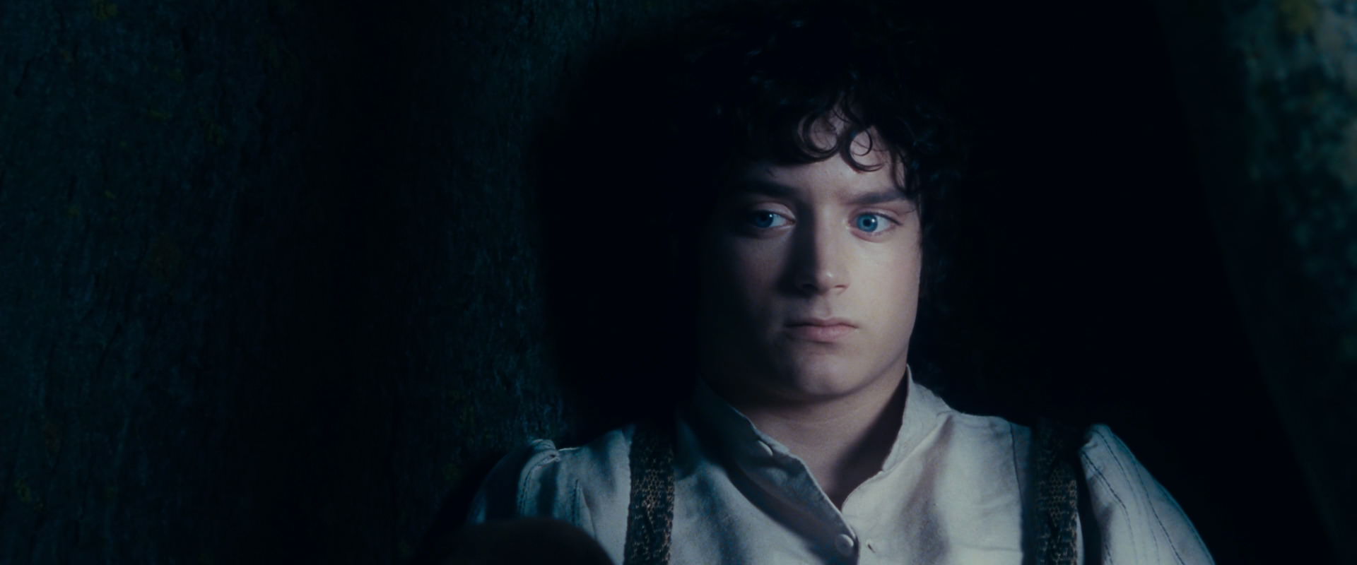 The Lord of the Rings: The Fellowship of the Ring (2001) screencap 18675