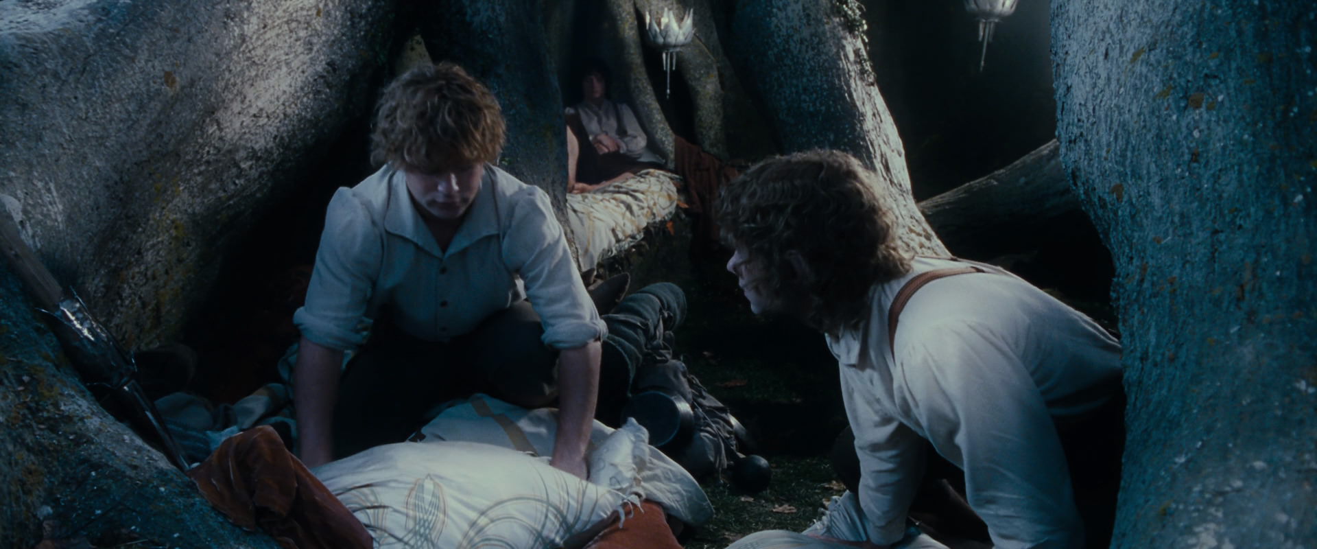 The Lord of the Rings: The Fellowship of the Ring (2001) screencap 18678