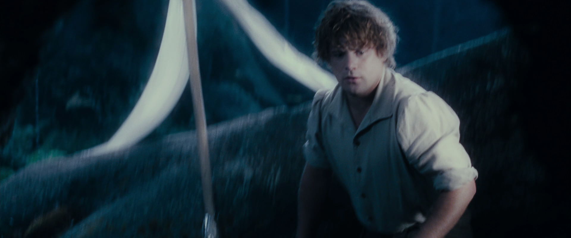 The Lord of the Rings: The Fellowship of the Ring (2001) HD screenshot 18692