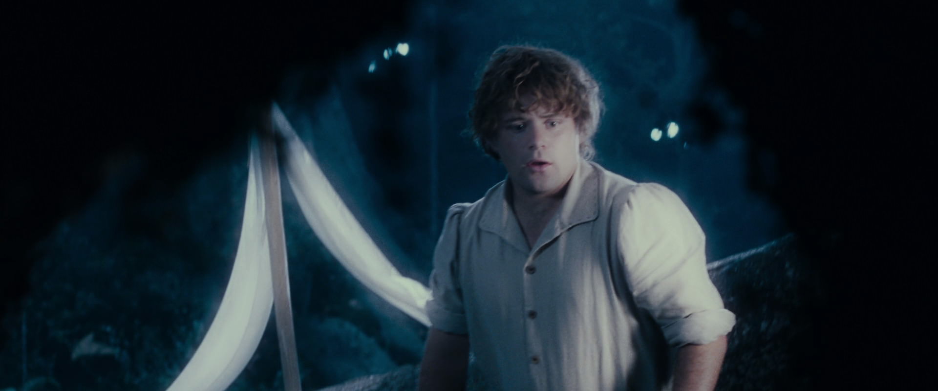 The Lord of the Rings: The Fellowship of the Ring (2001) screencap 18693