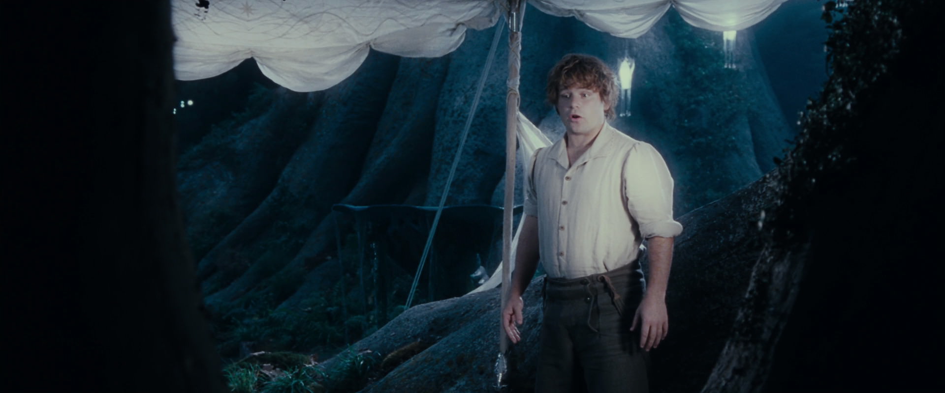 The Lord of the Rings: The Fellowship of the Ring (2001) screencap 18702