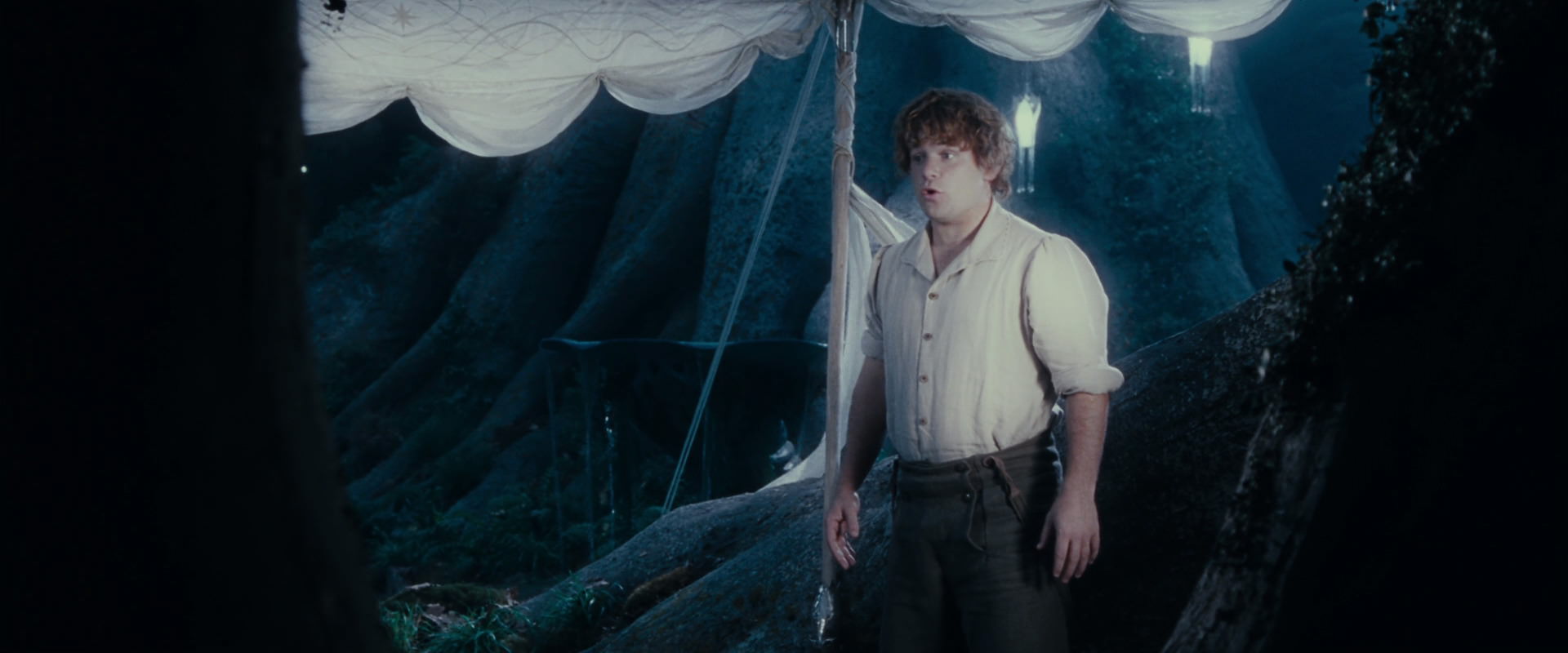 The Lord of the Rings: The Fellowship of the Ring (2001) movie still 18703