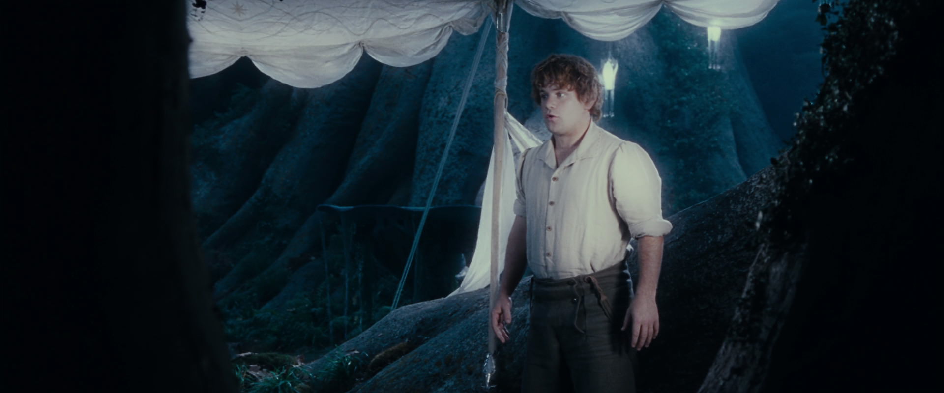 The Lord of the Rings: The Fellowship of the Ring (2001) HD screenshot 18704