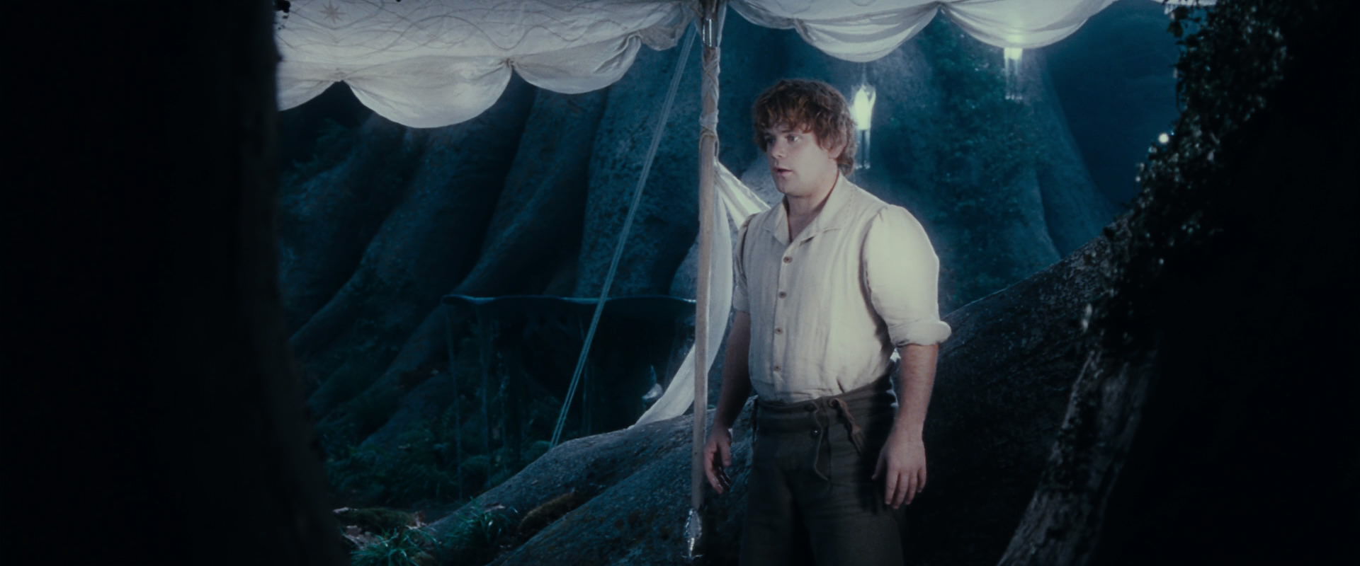 The Lord of the Rings: The Fellowship of the Ring (2001) screencap 18705