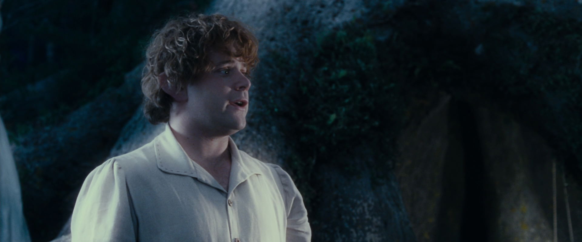 The Lord of the Rings: The Fellowship of the Ring (2001) movie still 18721