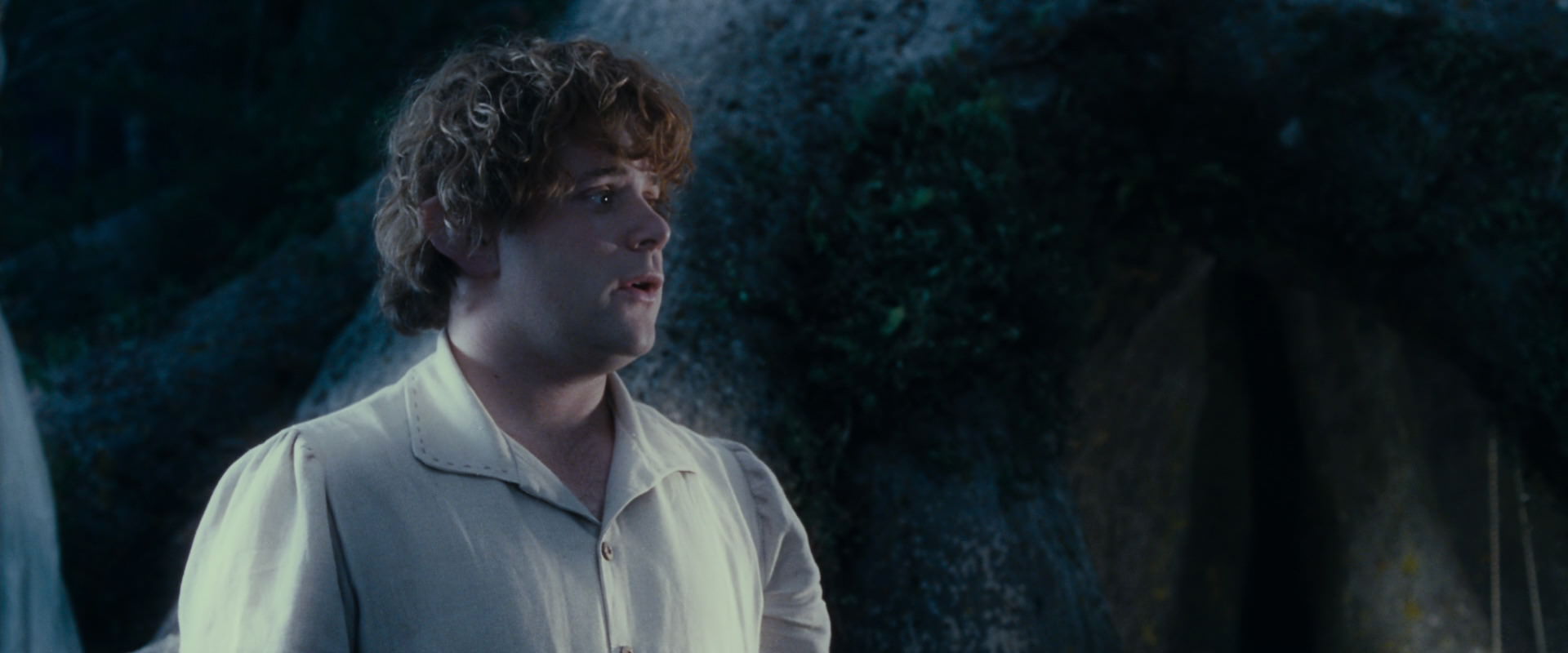 The Lord of the Rings: The Fellowship of the Ring (2001) HD screenshot 18722
