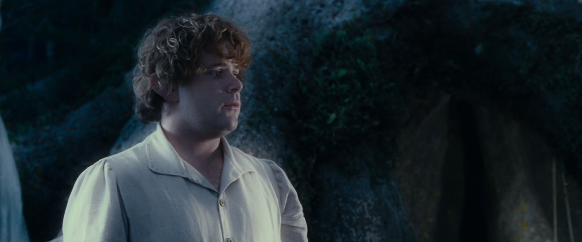 The Lord of the Rings: The Fellowship of the Ring (2001) screencap 18723