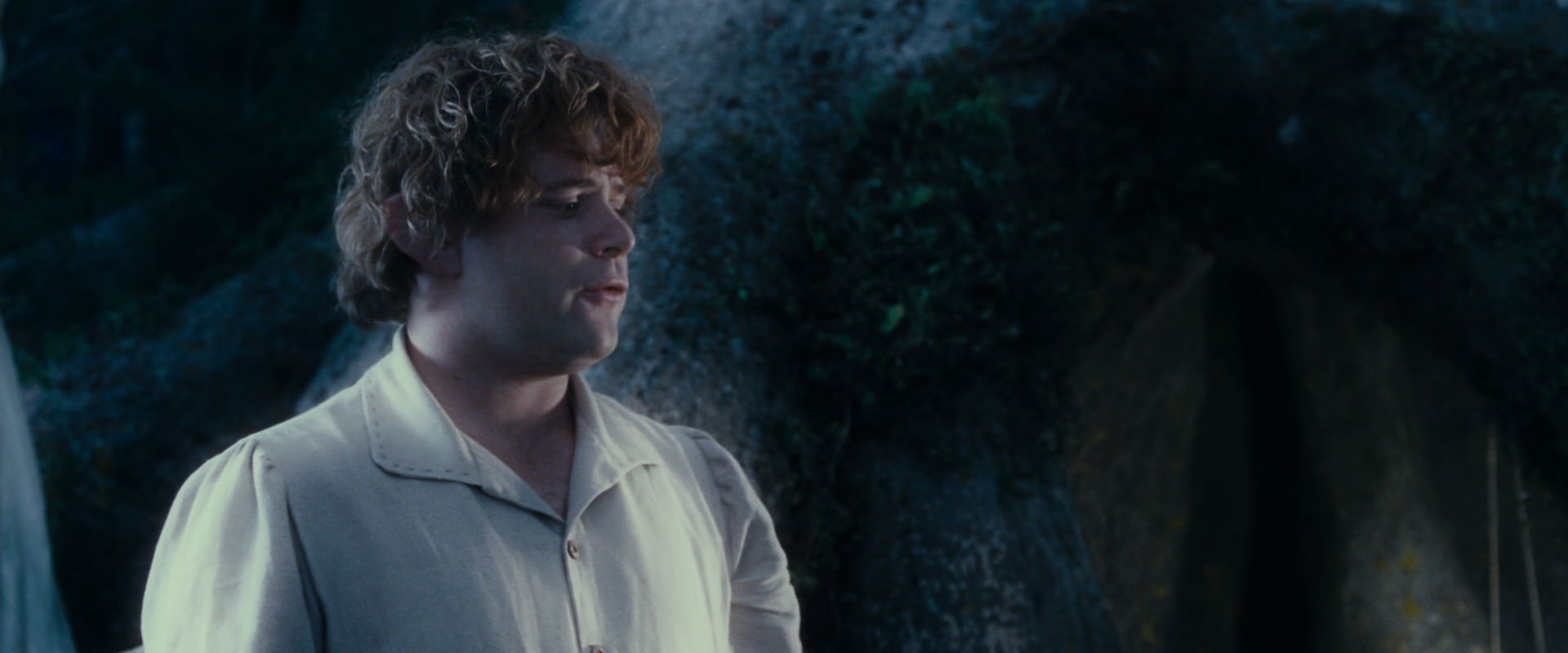 The Lord of the Rings: The Fellowship of the Ring (2001) movie still 18724
