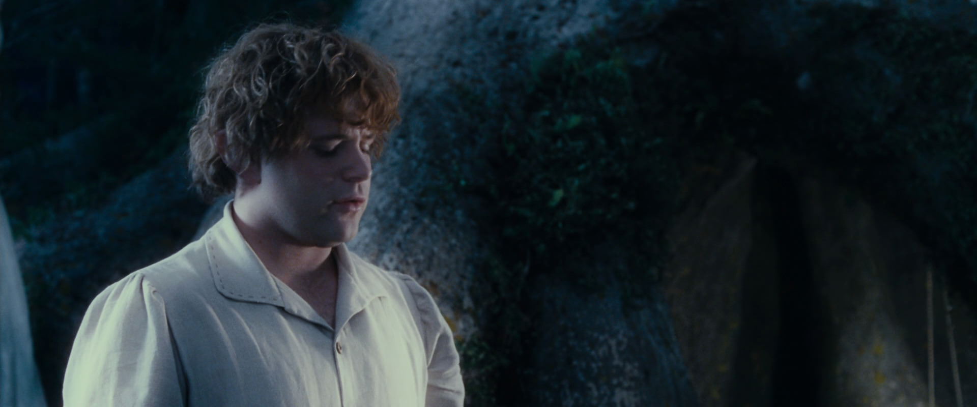 The Lord of the Rings: The Fellowship of the Ring (2001) HD screenshot 18725