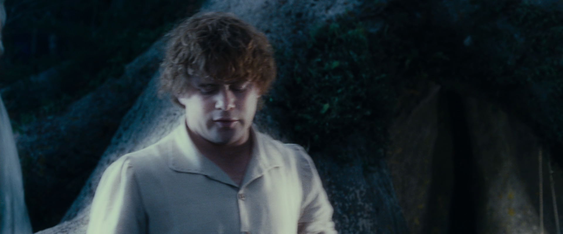 The Lord of the Rings: The Fellowship of the Ring (2001) screencap 18726