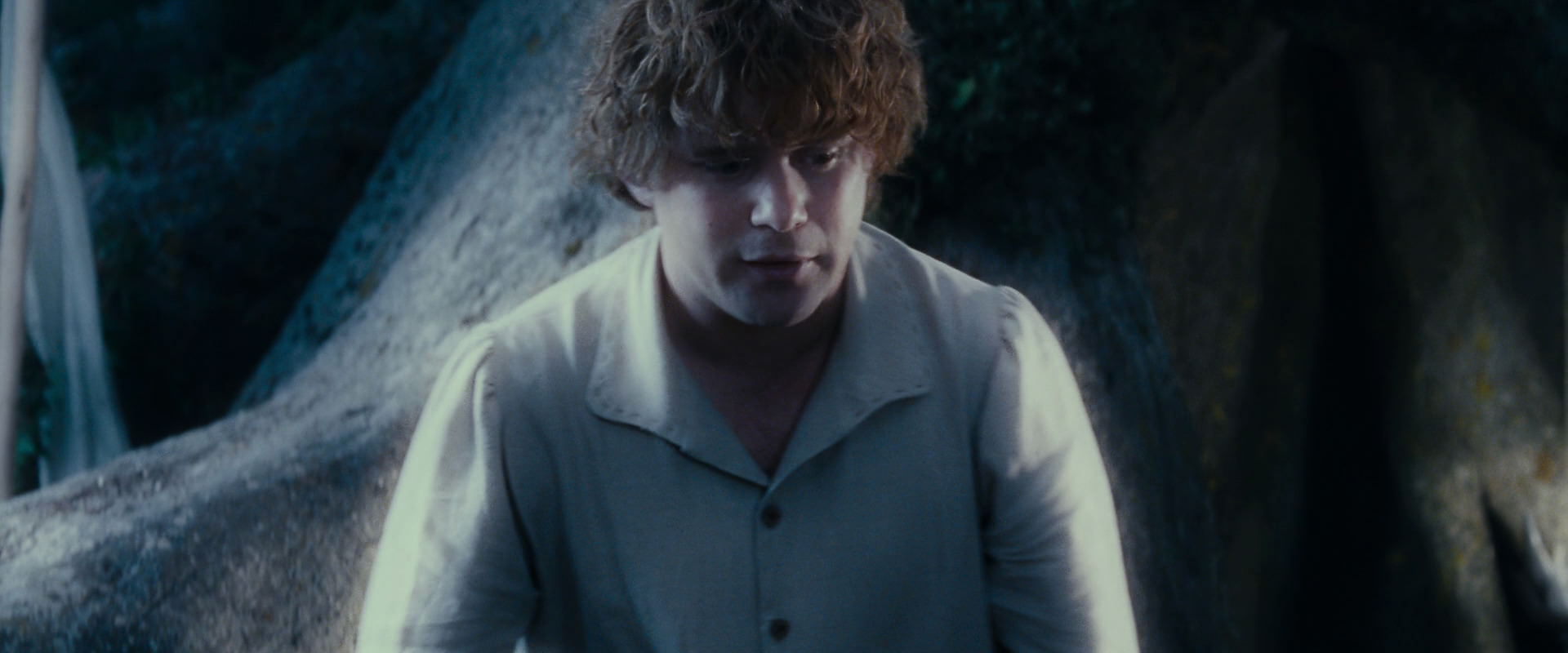The Lord of the Rings: The Fellowship of the Ring (2001) HD screenshot 18728
