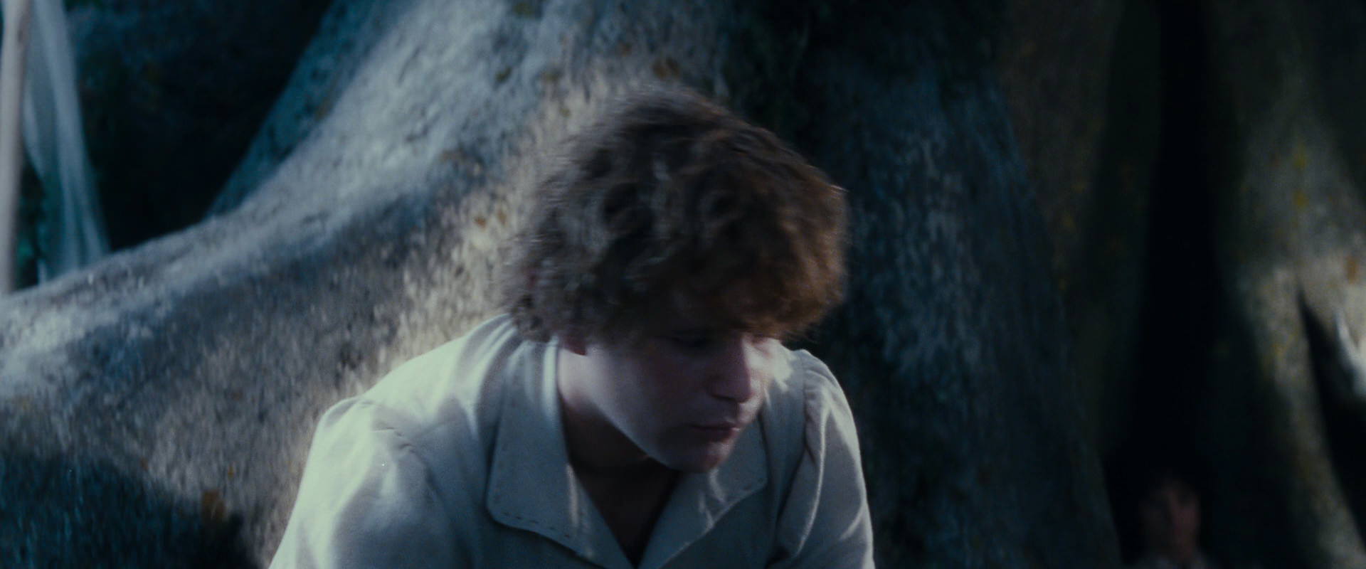The Lord of the Rings: The Fellowship of the Ring (2001) screencap 18729