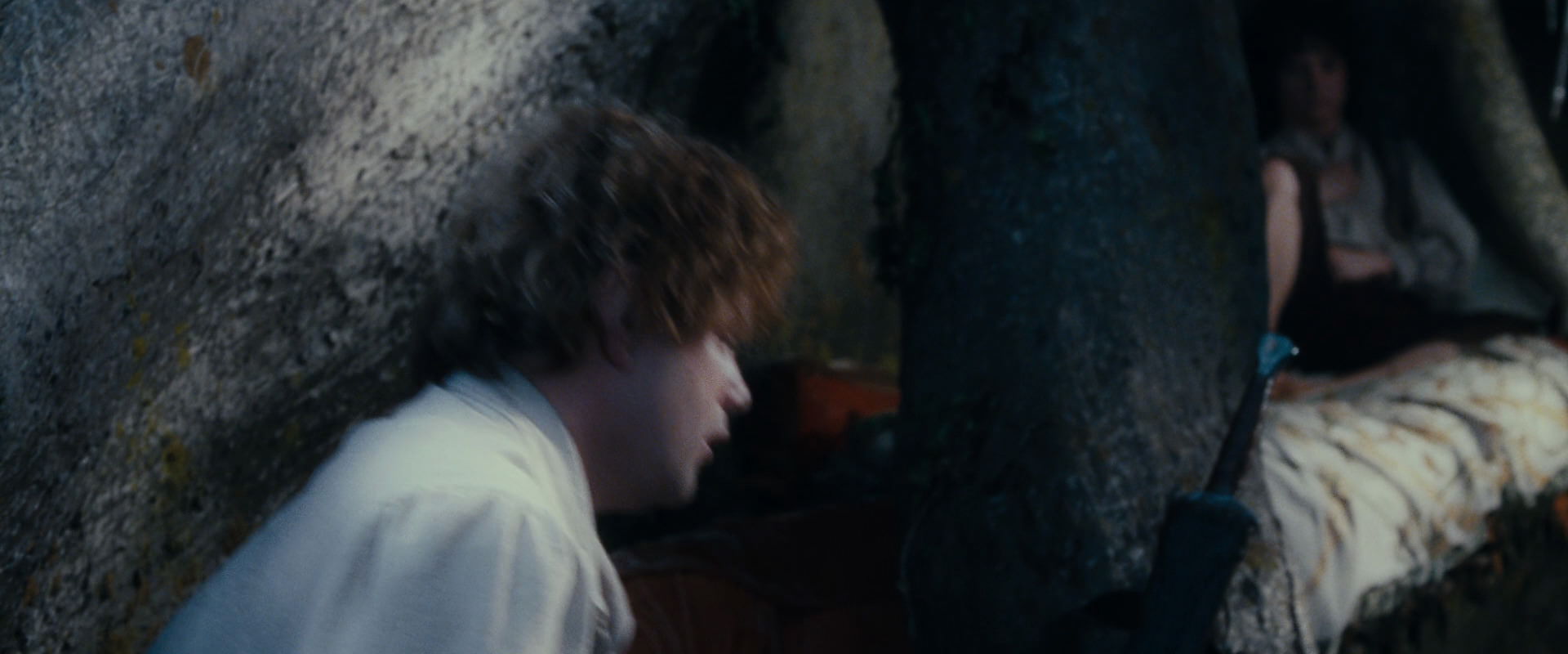 The Lord of the Rings: The Fellowship of the Ring (2001) HD screenshot 18731