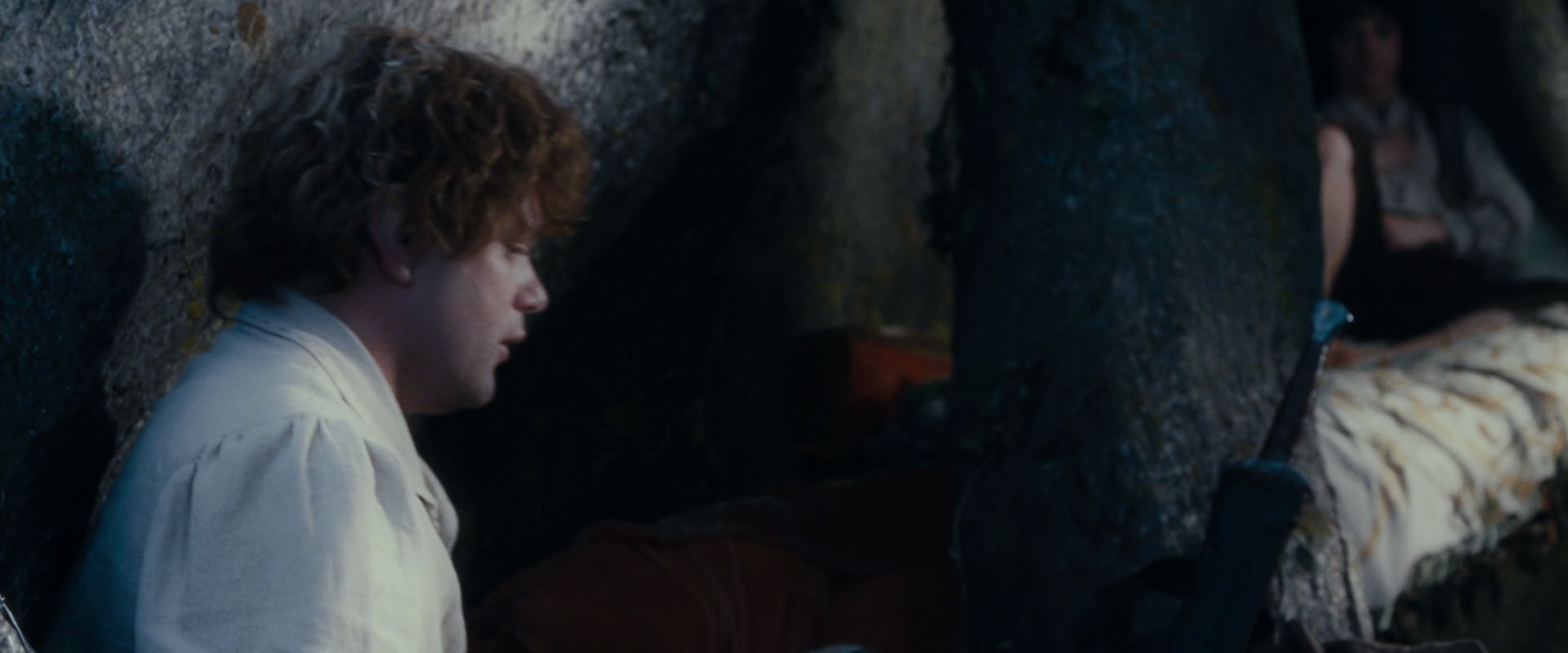 The Lord of the Rings: The Fellowship of the Ring (2001) screencap 18732