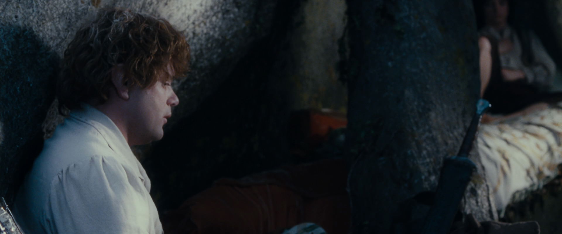 The Lord of the Rings: The Fellowship of the Ring (2001) movie still 18733