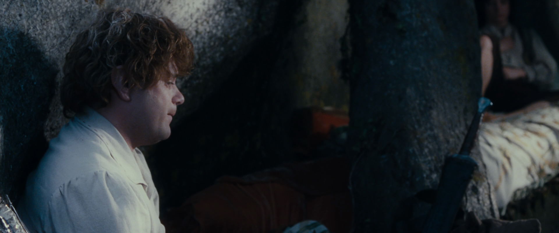 The Lord of the Rings: The Fellowship of the Ring (2001) HD screenshot 18734