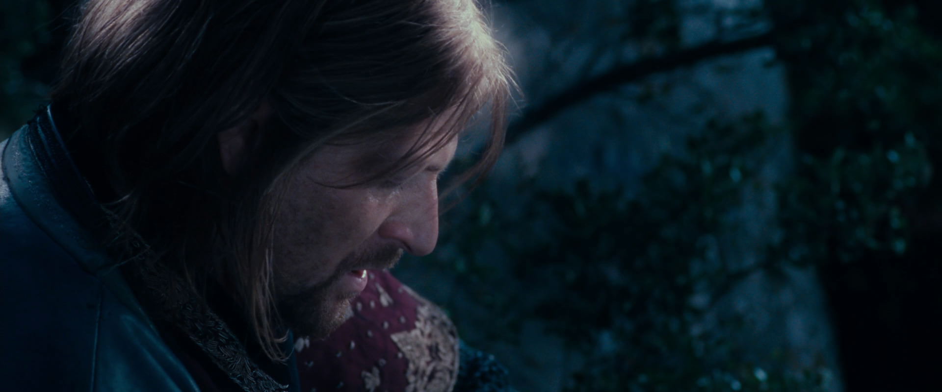 The Lord of the Rings: The Fellowship of the Ring (2001) screencap 18837