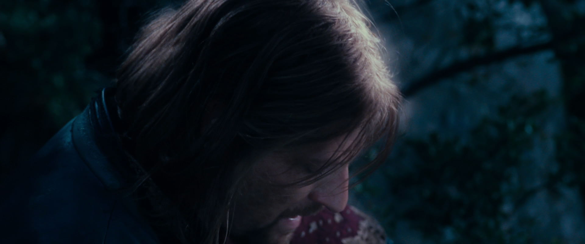 The Lord of the Rings: The Fellowship of the Ring (2001) movie still 18841