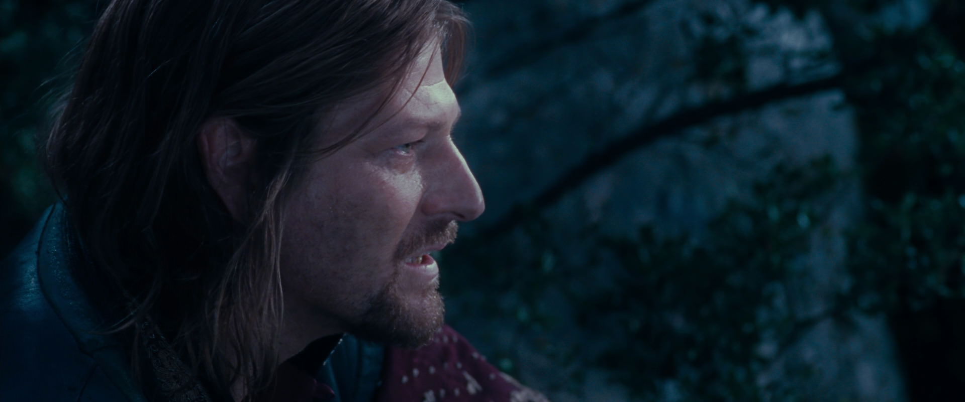 The Lord of the Rings: The Fellowship of the Ring (2001) HD screenshot 18923
