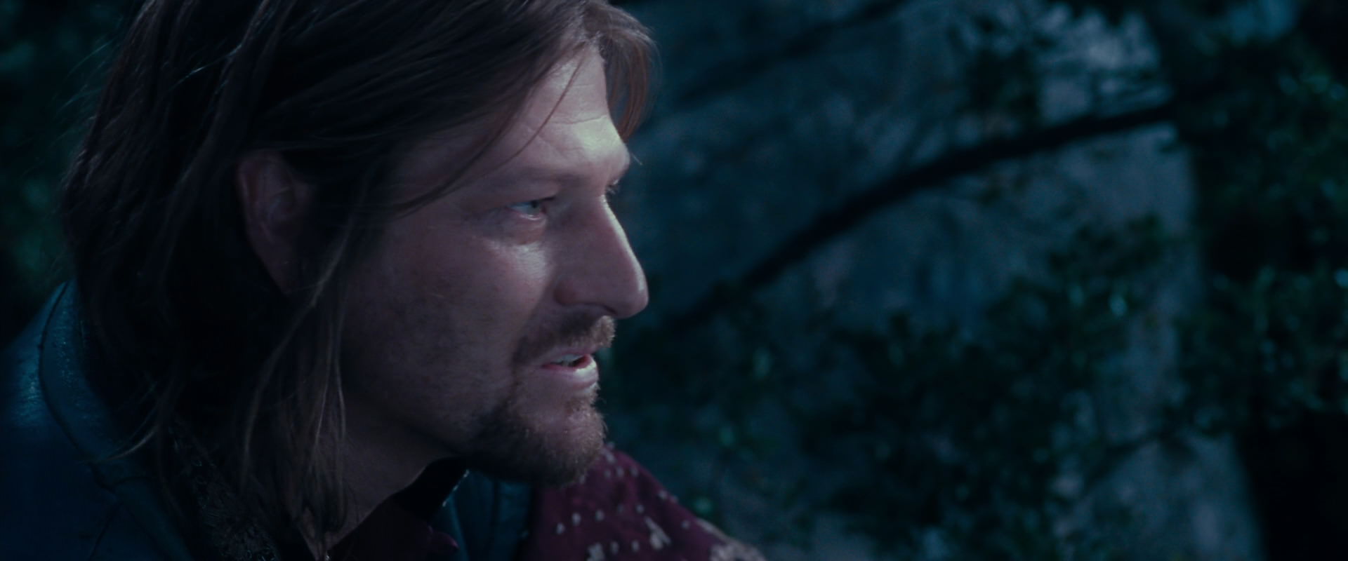 The Lord of the Rings: The Fellowship of the Ring (2001) screencap 18924