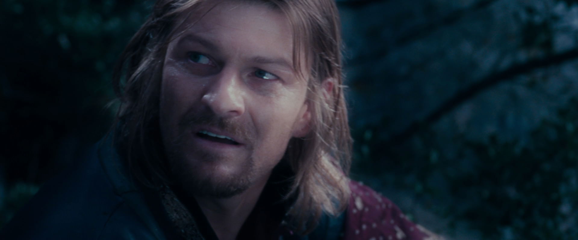 The Lord of the Rings: The Fellowship of the Ring (2001) screencap 18927