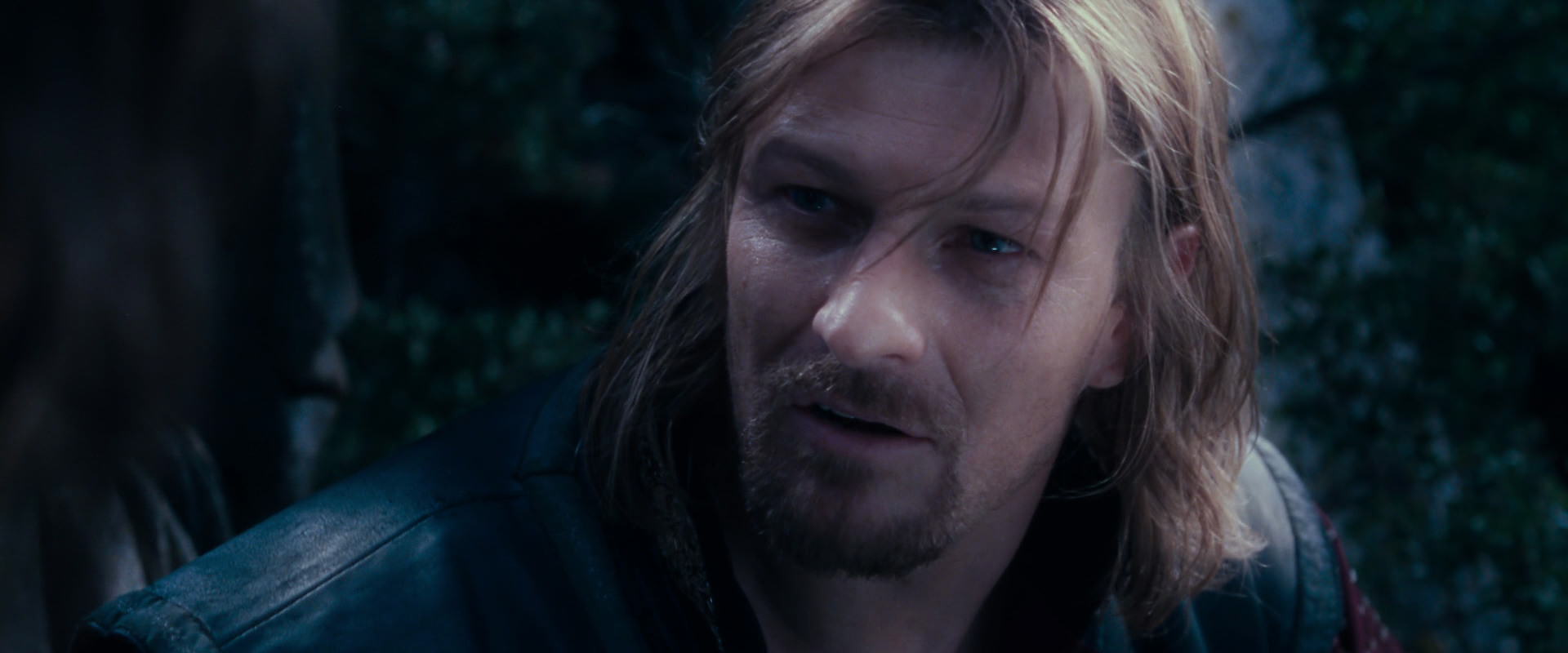 The Lord of the Rings: The Fellowship of the Ring (2001) screencap 18963