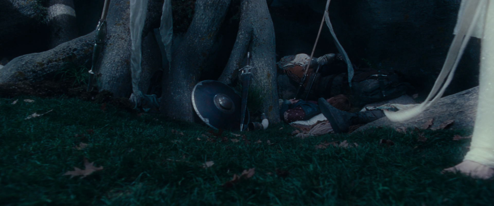 The Lord of the Rings: The Fellowship of the Ring (2001) screencap 18978