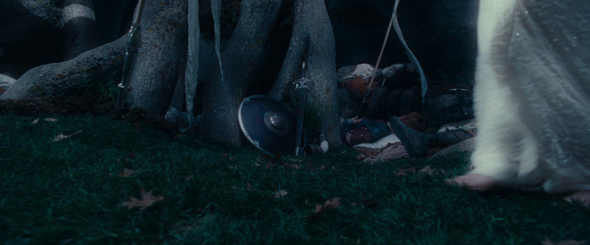 The Lord of the Rings: The Fellowship of the Ring (2001) movie still 18979
