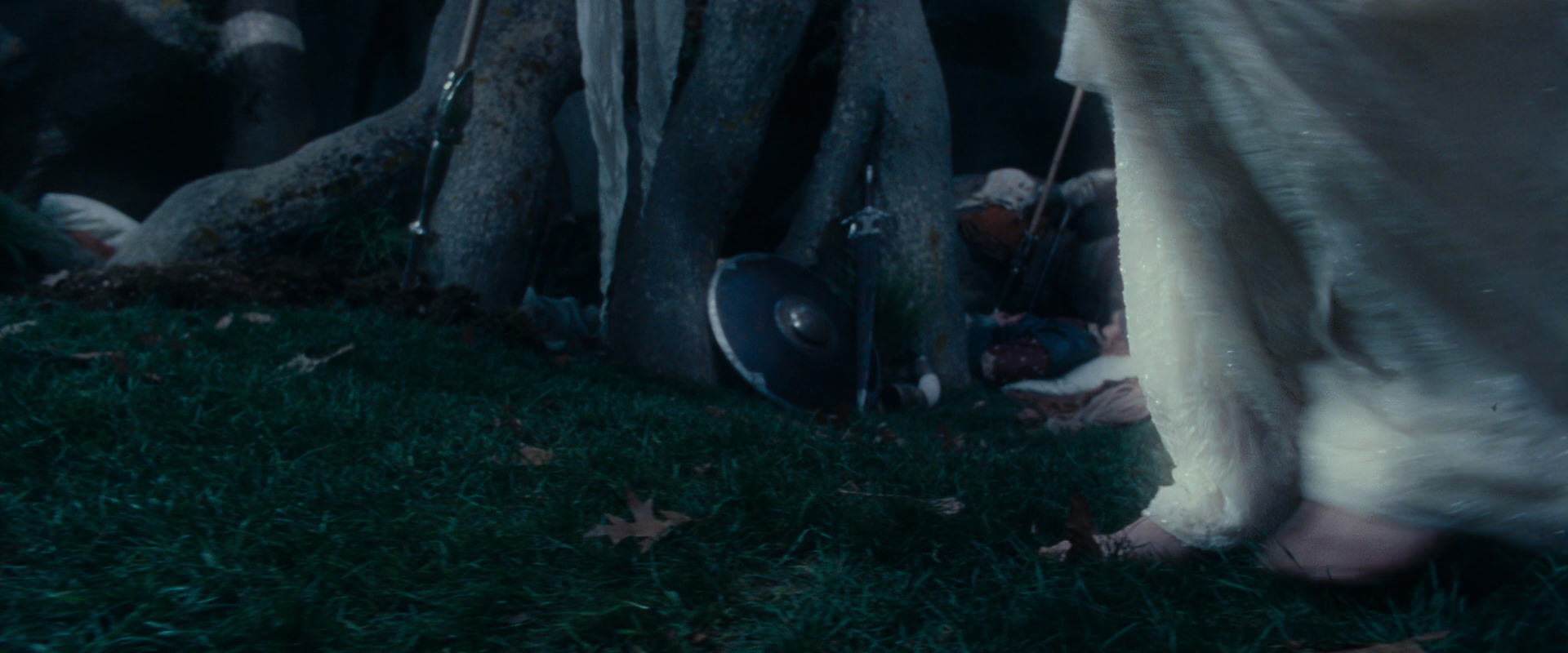The Lord of the Rings: The Fellowship of the Ring (2001) screencap 18981