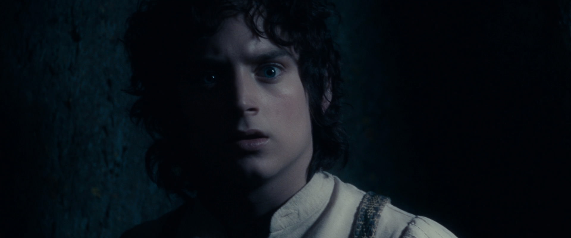 The Lord of the Rings: The Fellowship of the Ring (2001) screencap 18993
