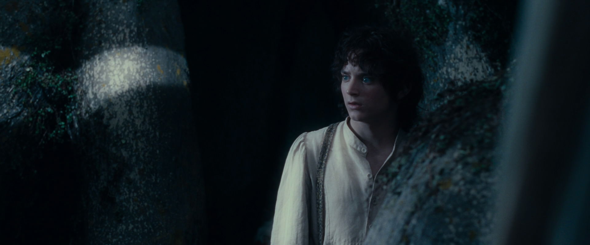 The Lord of the Rings: The Fellowship of the Ring (2001) HD screenshot 19001