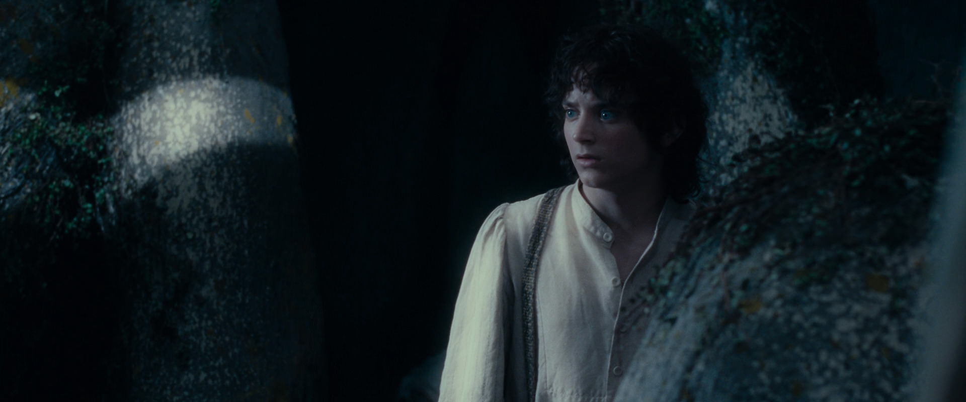 The Lord of the Rings: The Fellowship of the Ring (2001) screencap 19002