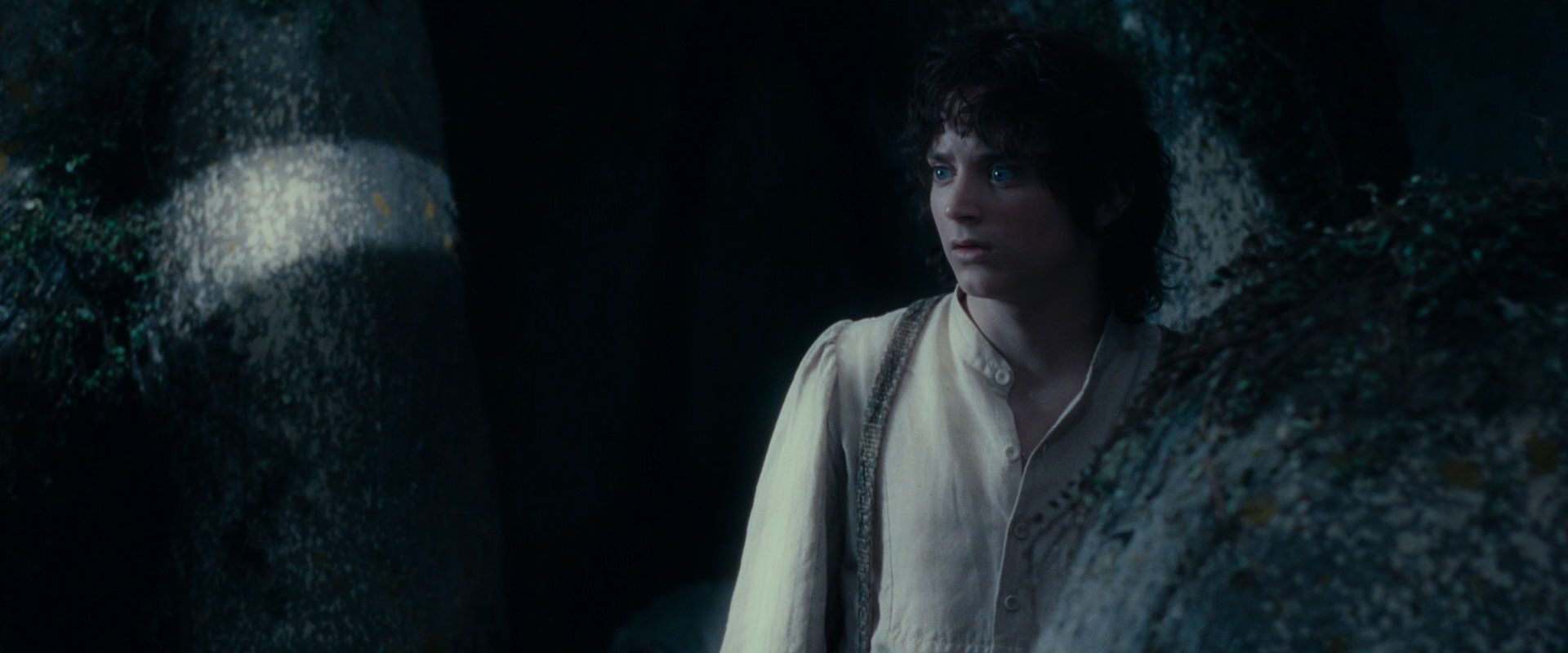The Lord of the Rings: The Fellowship of the Ring (2001) movie still 19003