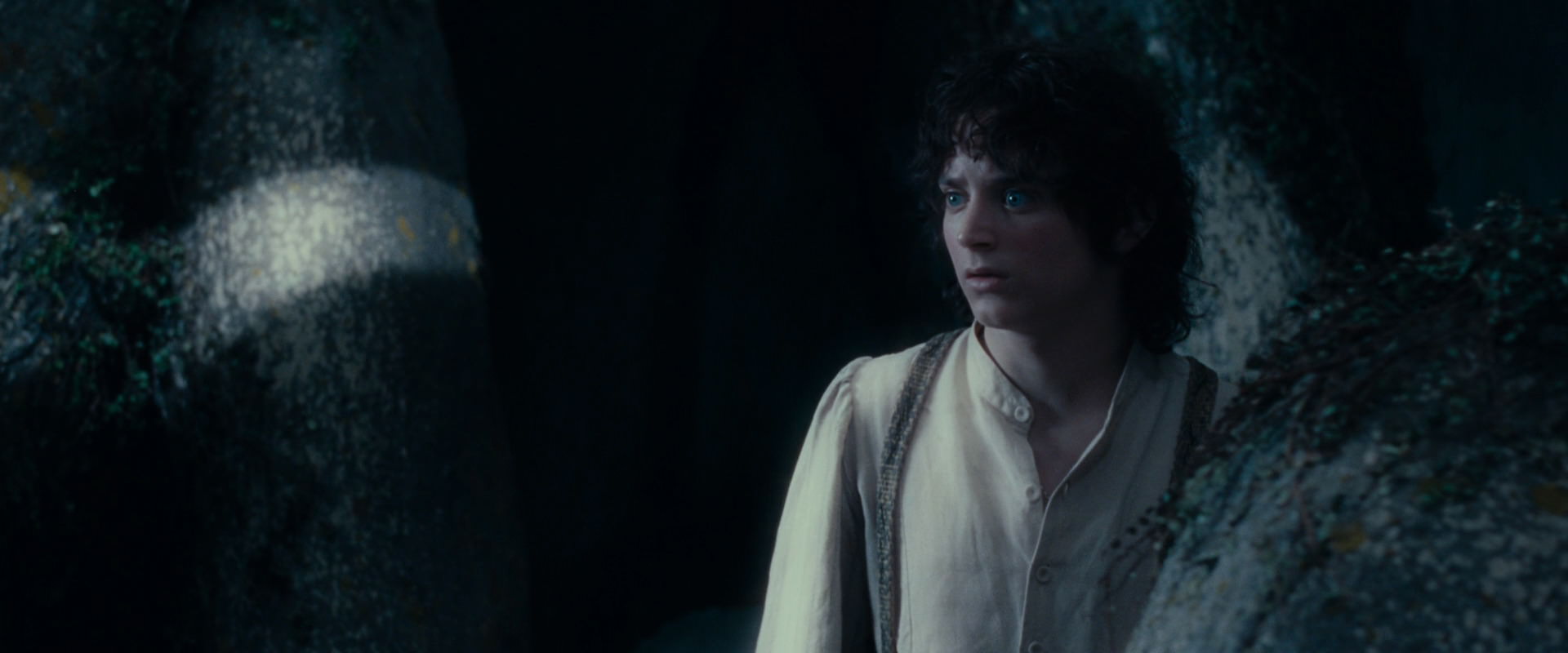 The Lord of the Rings: The Fellowship of the Ring (2001) HD screenshot 19004